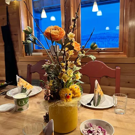 Camp Oinas 哈默菲斯特